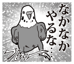 Comic style budgerigars sticker #13333081