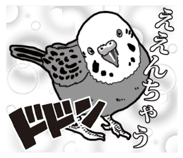 Comic style budgerigars sticker #13333083