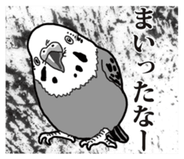 Comic style budgerigars sticker #13333087
