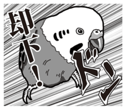 Comic style budgerigars sticker #13333094