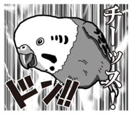 Comic style budgerigars sticker #13333099