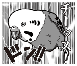Comic style budgerigars sticker #13333099