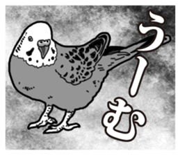 Comic style budgerigars sticker #13333102