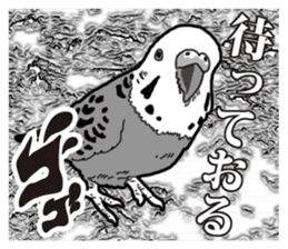 Comic style budgerigars sticker #13333103