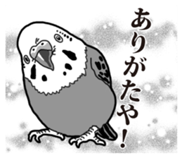 Comic style budgerigars sticker #13333104