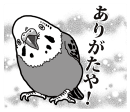 Comic style budgerigars sticker #13333104