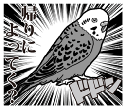 Comic style budgerigars sticker #13333107
