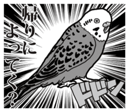 Comic style budgerigars sticker #13333107
