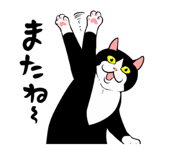 a little fat cat 6 sticker #13333550