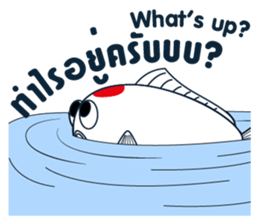 Sakura Koi sticker #13334815