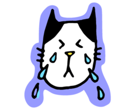 Buchi and flowers sticker #13335327