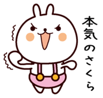 I am Sakura sticker #13337775