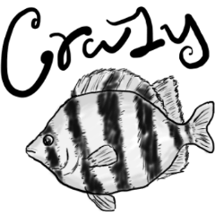 The English Aquarium