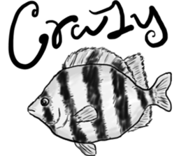 The English Aquarium sticker #13341551