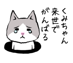 Kumichan cat sticker #13344769