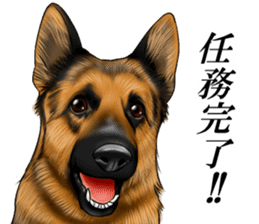 Mr. shepherd 3 Police dog Real style. sticker #13346818