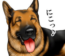 Mr. shepherd 3 Police dog Real style. sticker #13346825