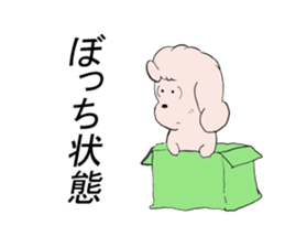 aki  suzuki