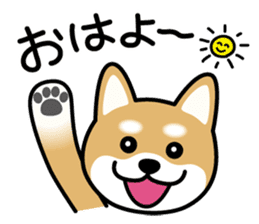 Cute! Shibainu Stickers sticker #13346918