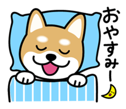 Cute! Shibainu Stickers sticker #13346924