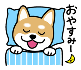 Cute! Shibainu Stickers sticker #13346924