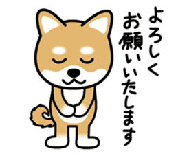 Cute! Shibainu Stickers sticker #13346931