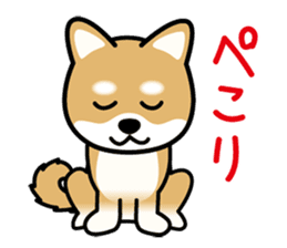 Cute! Shibainu Stickers sticker #13346933