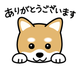 Cute! Shibainu Stickers sticker #13346935