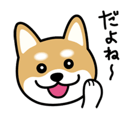 Cute! Shibainu Stickers sticker #13346944