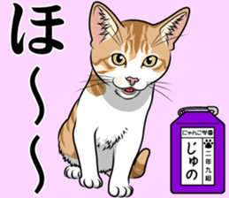 Nyanko school(PART5) sticker #13347776