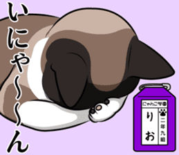 Nyanko school(PART5) sticker #13347794