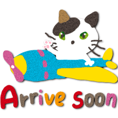 Cat like a warm felt