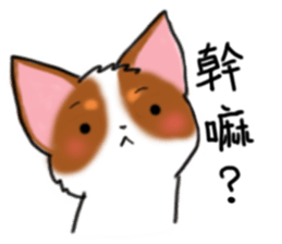 Rich' s Daily Life sticker #13350822