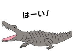 Variety sticker of hap Vol.1 sticker #13351064