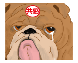 Kura's good cats sticker #13351556