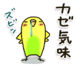 Budgerigar7 sticker #13353462