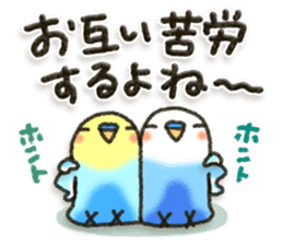 Budgerigar7 sticker #13353477