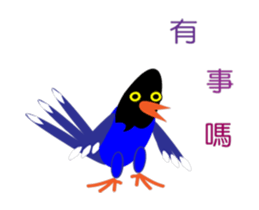 Dove Dove blue magpie sticker #13358377