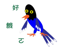 Dove Dove blue magpie sticker #13358379