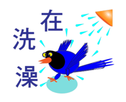 Dove Dove blue magpie sticker #13358385