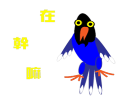 Dove Dove blue magpie sticker #13358386