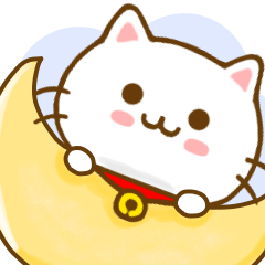 Cat Tama Yokutukau