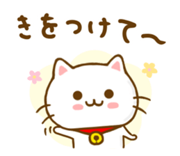 Cat Tama Yokutukau sticker #13359059