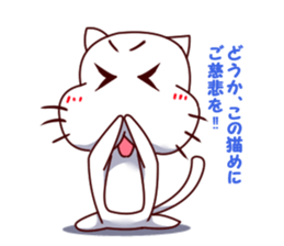 Richness of the white cat look sticker #13359744