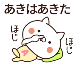 aki name sticker #13364368