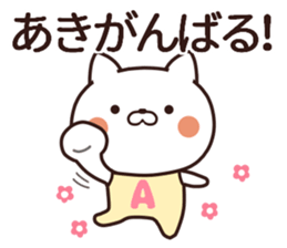 aki name sticker #13364378