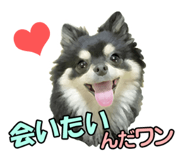 Dog lovely scent2 sticker #13366302