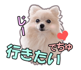 Dog lovely scent2 sticker #13366303