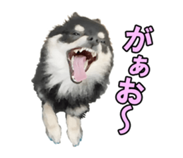 Dog lovely scent2 sticker #13366304