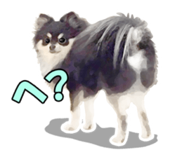 Dog lovely scent2 sticker #13366305